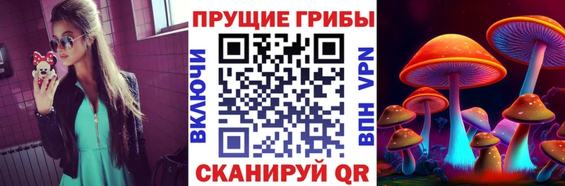 Псилоцибиновые грибы ЛСД  хочу наркоту  MEGA зеркало  Орск 