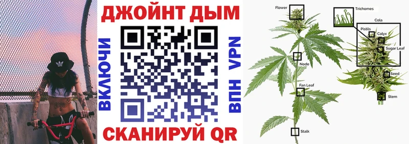 Конопля сатива  Орск 